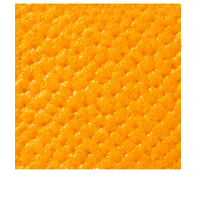 Oranges natural texture