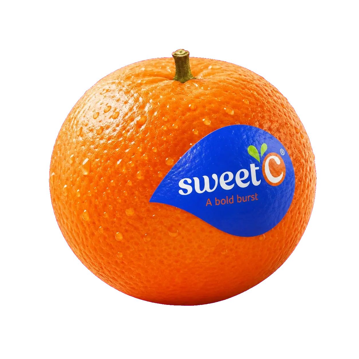 Inside the Cold Chain: Protecting Premium Fruit at Every Handover — gallery image 1